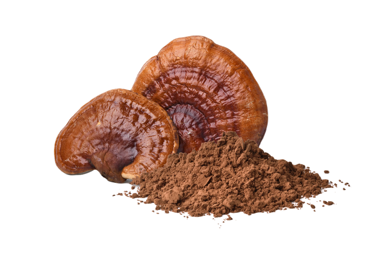 Reishi Mushrooms and Reishi Powder