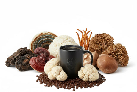 Black mug surrounded by various mushrooms and coffee beans on a white background