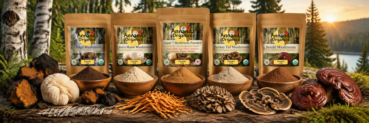 annanda organic mushroom collection