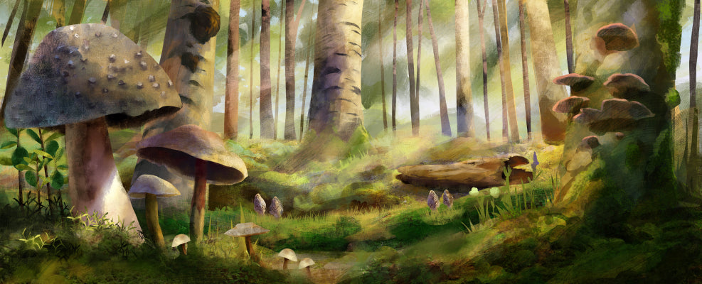 Mushroom forest with tall trees and green grass