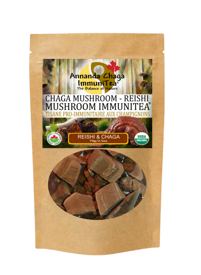 chaga and reishi immunitea, reishi tea, chaga and reishi tea
