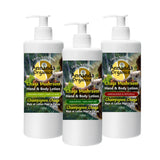 Annanda chaga mushroom hand and body lotion