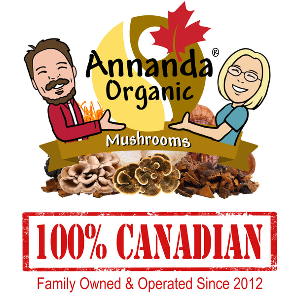 Annanda Organic Mushrooms - Chaga, Reishi, Turkey Tail, Lions Mane by Annanda Chaga 