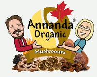 Annanda Chaga & Annanda Organics