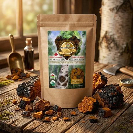 A stand-up kraft pouch of Annanda chaga mushroom chunks on a rustic wooden table with chaga and bark pieces, a small bottle, and a spoon in a warm, natural setting.