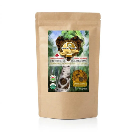 A 170g stand-up pouch of Amanda Rose Wild Harvested Chaga Mushroom, featuring a natural kraft paper exterior and a colorful front label with a chaga mushroom and a small hamster.