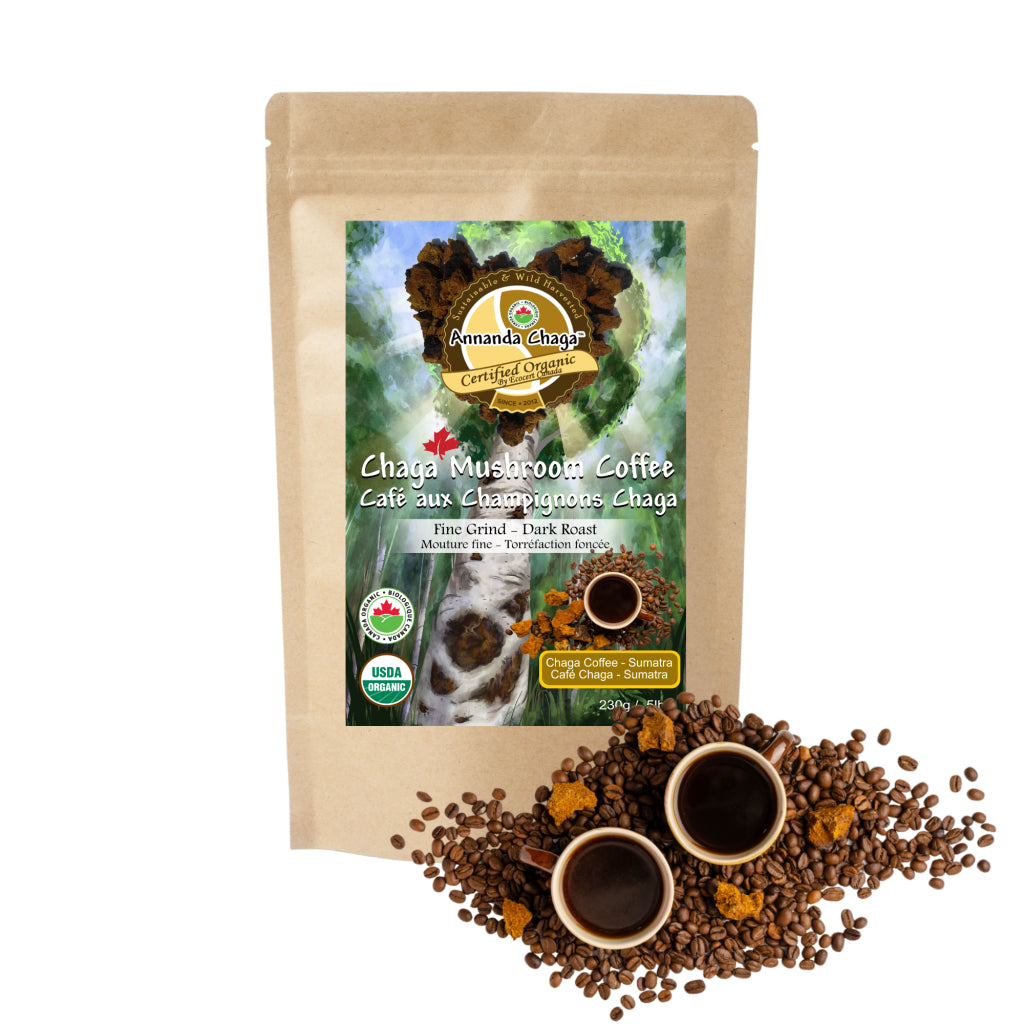sumatra mushroom coffee, coffee mushroom, chaga coffee, annanda chaga coffee, organic coffee