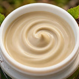 chaga skin balm ingredient close up
