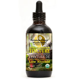 A 118ml dark amber glass dropper bottle of Annanda Chaga Mushrooms Ghaiga Mushroom Tincture Low Alcohol, featuring a black dropper cap and a detailed label on a white background.