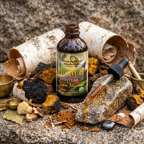 bottle of chaga tincture on rock face with dropper and pieces of chaga and birch bark