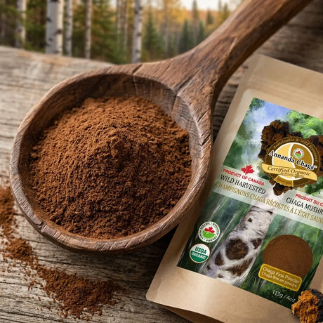 Annanda chaga powder with spoon close up