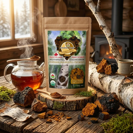 annanda chaga chunks with chaga tea