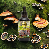 A bottle of Annanda Organics Chaga Reishi Turkey Tail Mushroom Puncture Oil centered on a mossy background decorated with various species of reishi and chaga mushrooms.