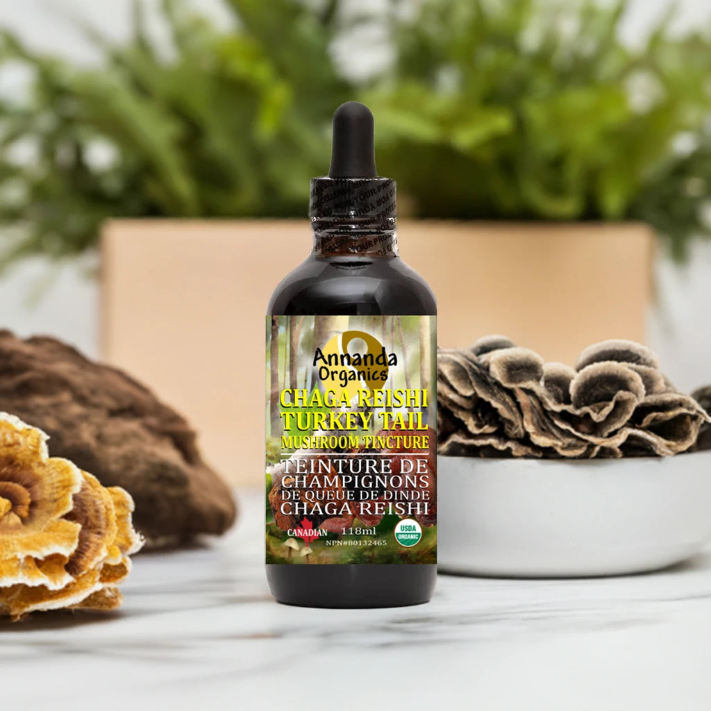 A dark amber glass dropper bottle labeled 'Amanda Organics Chaga Reishi Turkey Tail Mushroom Extract' sits on a light marble surface, flanked by real mushrooms and green foliage in the background.