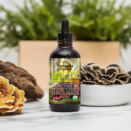 A dark amber glass dropper bottle labeled 'Amanda Organics Chaga Reishi Turkey Tail Mushroom Extract' sits on a light marble surface, flanked by real mushrooms and green foliage in the background.