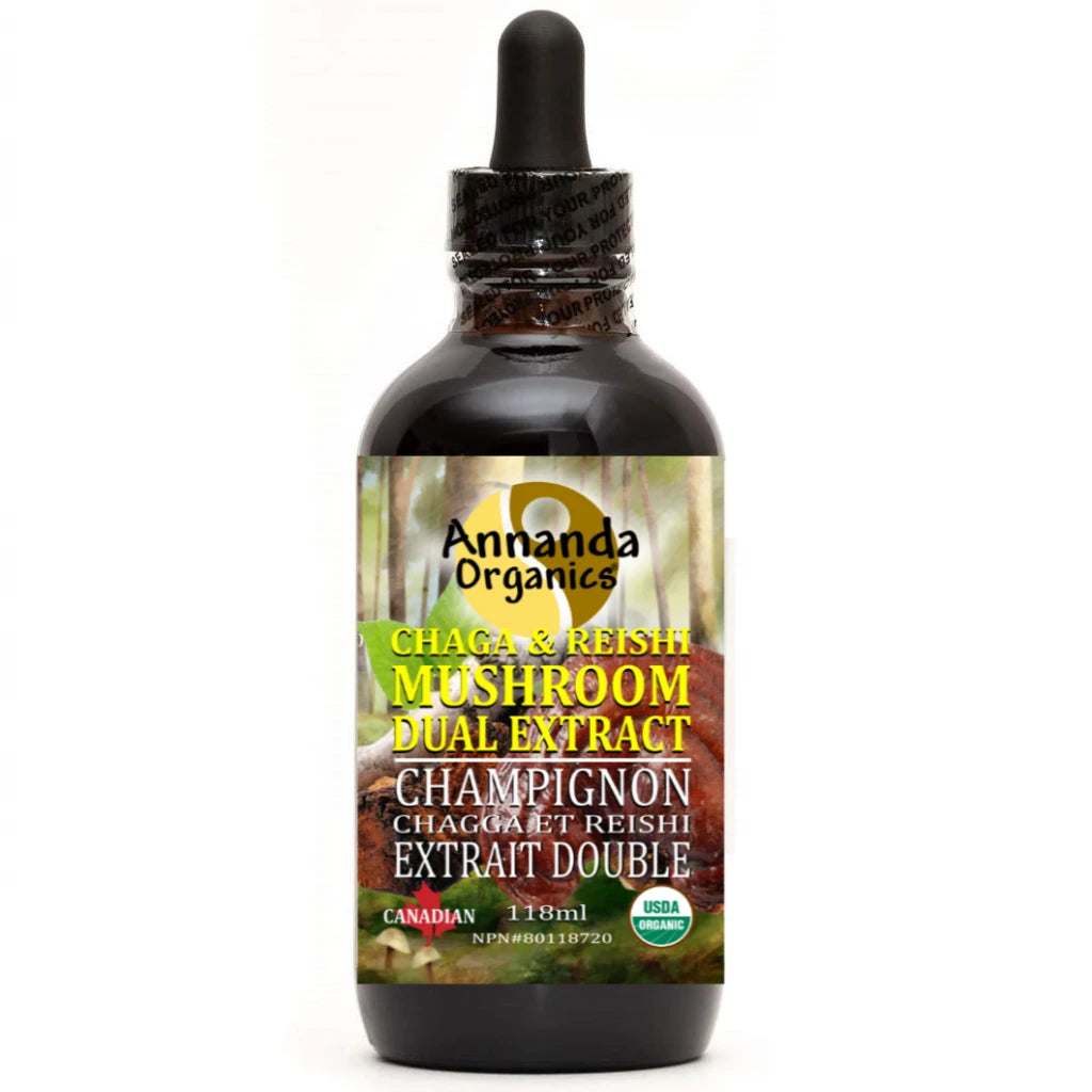chaga and reishi mushroom extract
