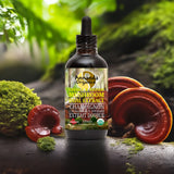 A bottle of Annanda Organics Chaga & Reishi Mushroom Dual Extract liquid supplement, styled on a dark surface with fresh reishi mushrooms, moss, and green foliage in the background.