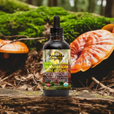 A bottle of Annanda Organics Chaga & Reishi Mushroom Dual Extract liquid supplement, set against a natural forest background with mushrooms and moss.
