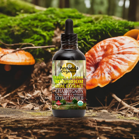 A bottle of Annanda Organics Chaga & Reishi Mushroom Dual Extract liquid supplement, set against a natural forest background with mushrooms and moss.
