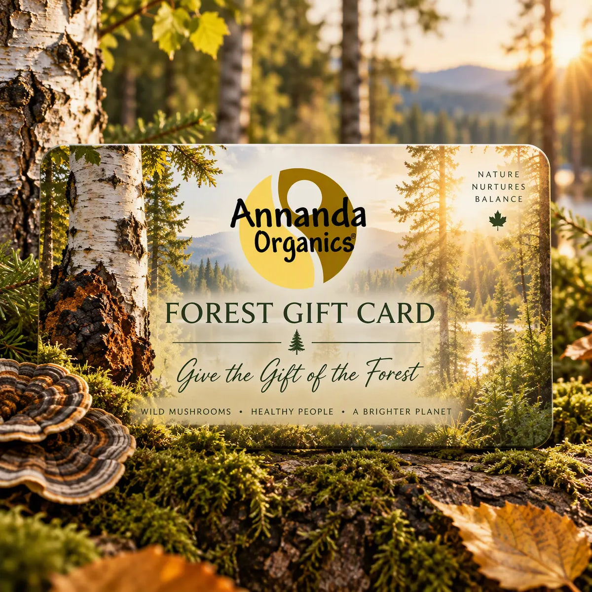 Annanda Organics Forest Gift Card displayed on mossy tree bark with birch trees and mushrooms in a forest setting. The card features a scenic forest background with a lake and sun rays, and the Annanda Organics logo in the center.