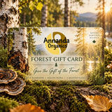 Annanda Organics Forest Gift Card displayed on mossy tree bark with birch trees and mushrooms in a forest setting. The card features a scenic forest background with a lake and sun rays, and the Annanda Organics logo in the center.