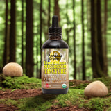 Bottle of Lion's Mane Mushroom Tincture with a forest background