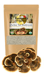 Ananda Organics Turkey Tail Mushroom package with mushrooms displayed in front on a white background