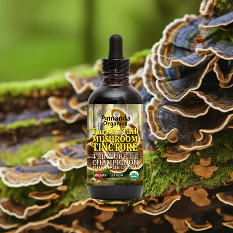 A bottle of Annanda Organics Turkey Tail Mushroom Tincture centered against a natural background of turkey tail mushrooms and green moss.