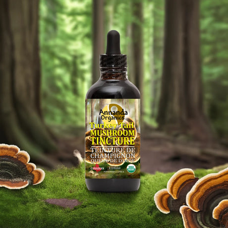 A bottle of Amanda Organics Turkey Jar Mushroom Tincture placed on green moss with large mushrooms around it, set against a blurred forest background.