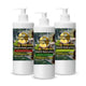 Chaga Skin Care