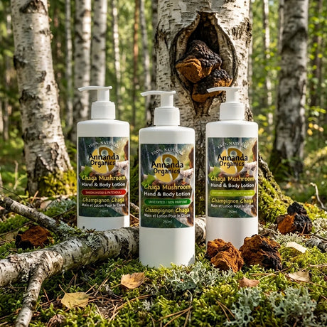 chaga hand and body lotion in forest scene
