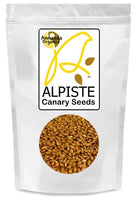Alpiste Canary Seeds for Humans 