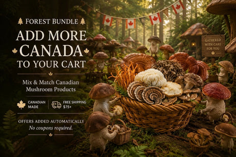 Canadian Forest bundles add more canada to your cart and save automatically
