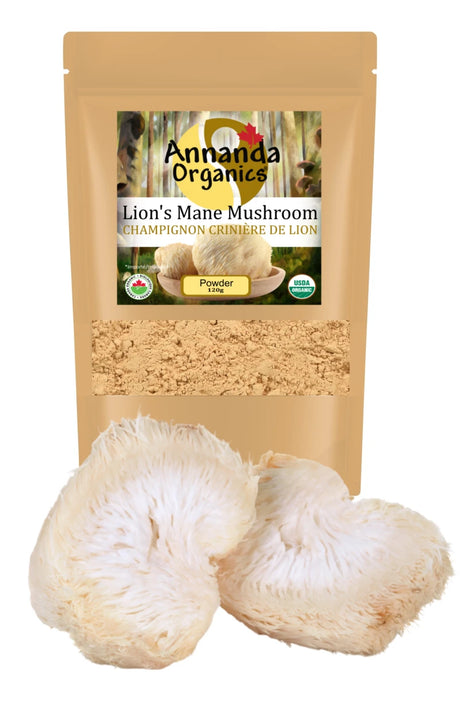 Annanda Organics Lion's Mane Mushroom powder packaging with two lion's mane mushrooms in front.