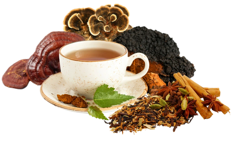 chaga tea