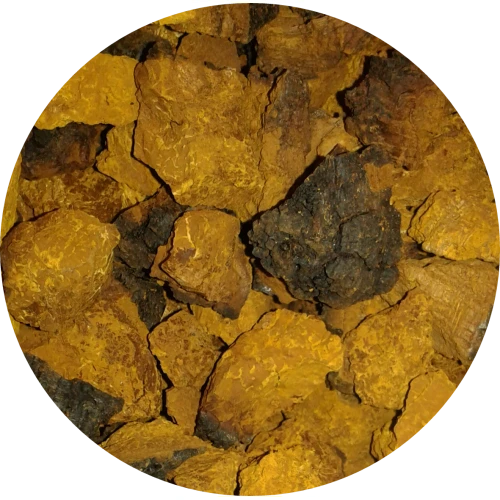 organic bulk chaga chunks