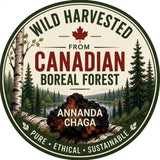 Wild harvested Canadian Chaga annanda chaga