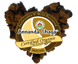 Annanda Chaga wild-harvested chaga from Canada