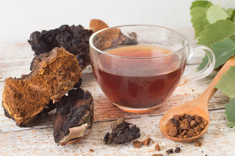 cup of chaga tea with chaga mushroom chunks on a wooden table scene
