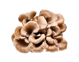 organic maitake mushrooms