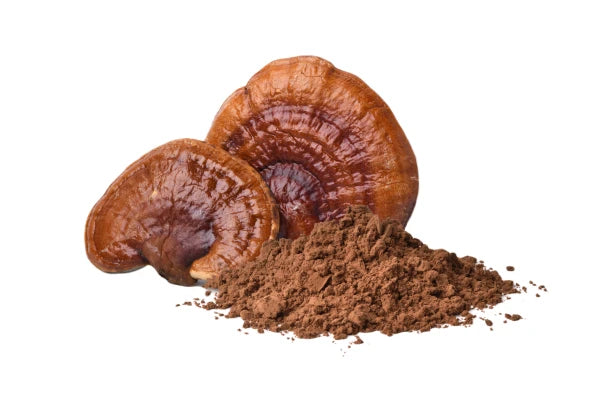 Organic Reishi Mushroom Powder with reishi mushroom