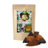 Chaga powder