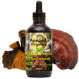 chaga reishi extract