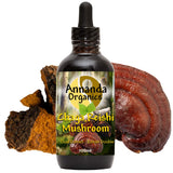 chaga reishi extract