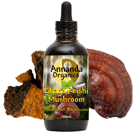 chaga reishi extract