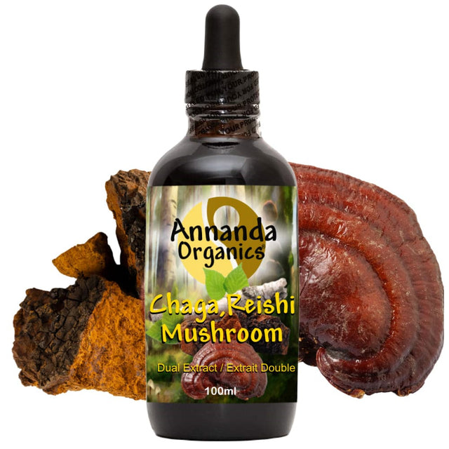 chaga reishi extract