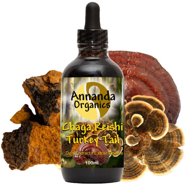Chaga Reishi turkey tail Mushroom Extract