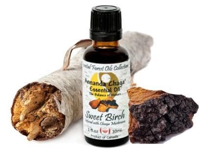 Sweet Birch and Chaga Mushroom Essential Oil - Annanda Organics-Annanda Chaga Mushrooms