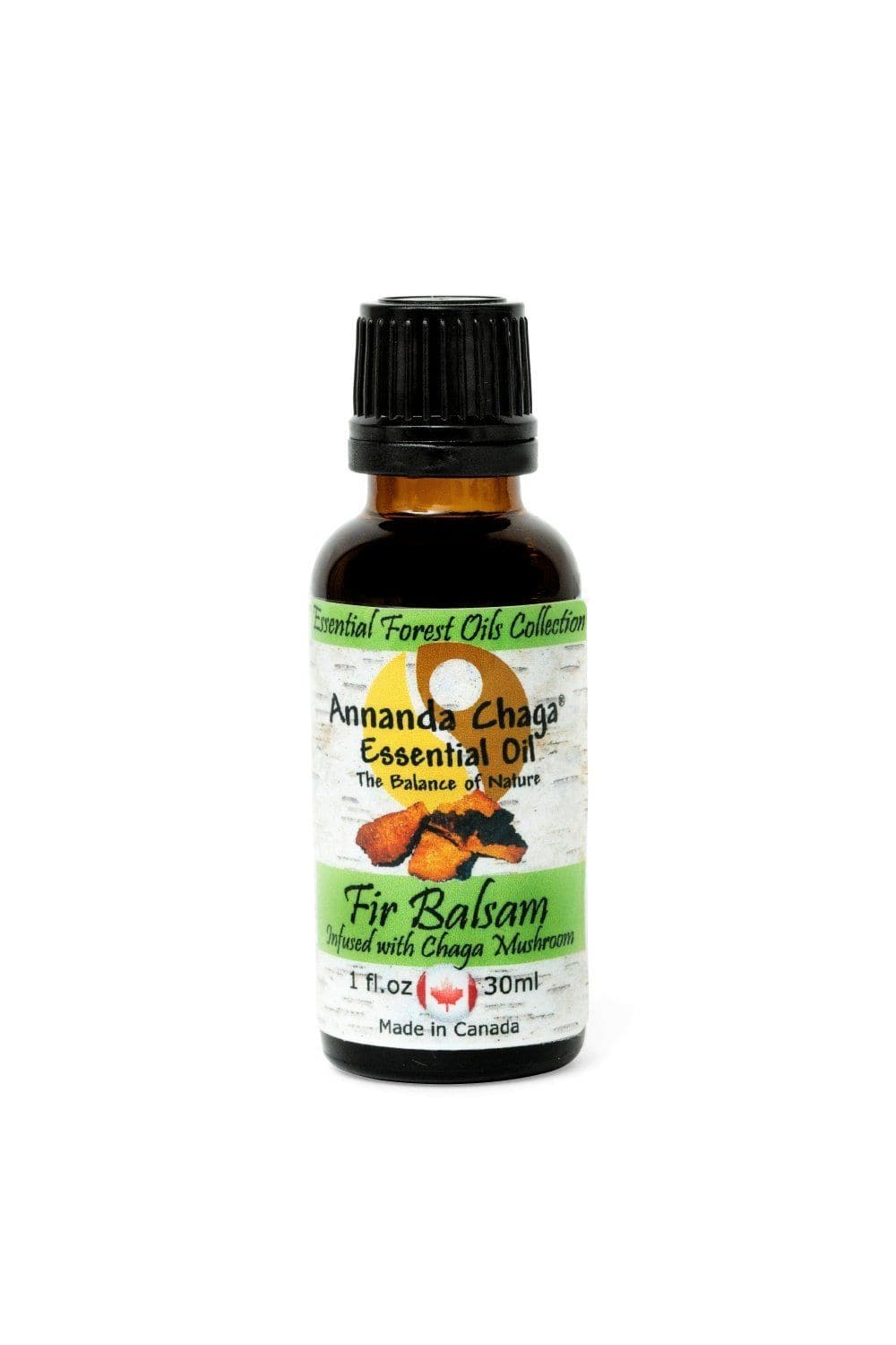 Fir Balsam and Chaga Mushroom Essential Oil - Annanda Organics-Annanda Chaga Mushrooms