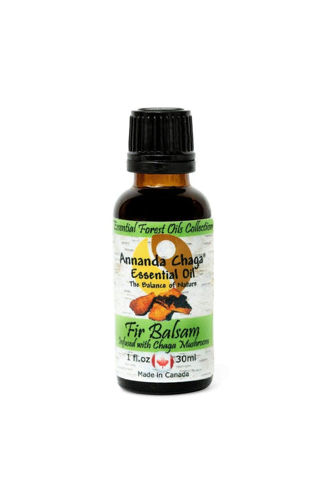 Fir Balsam and Chaga Mushroom Essential Oil - Annanda Organics-Annanda Chaga Mushrooms